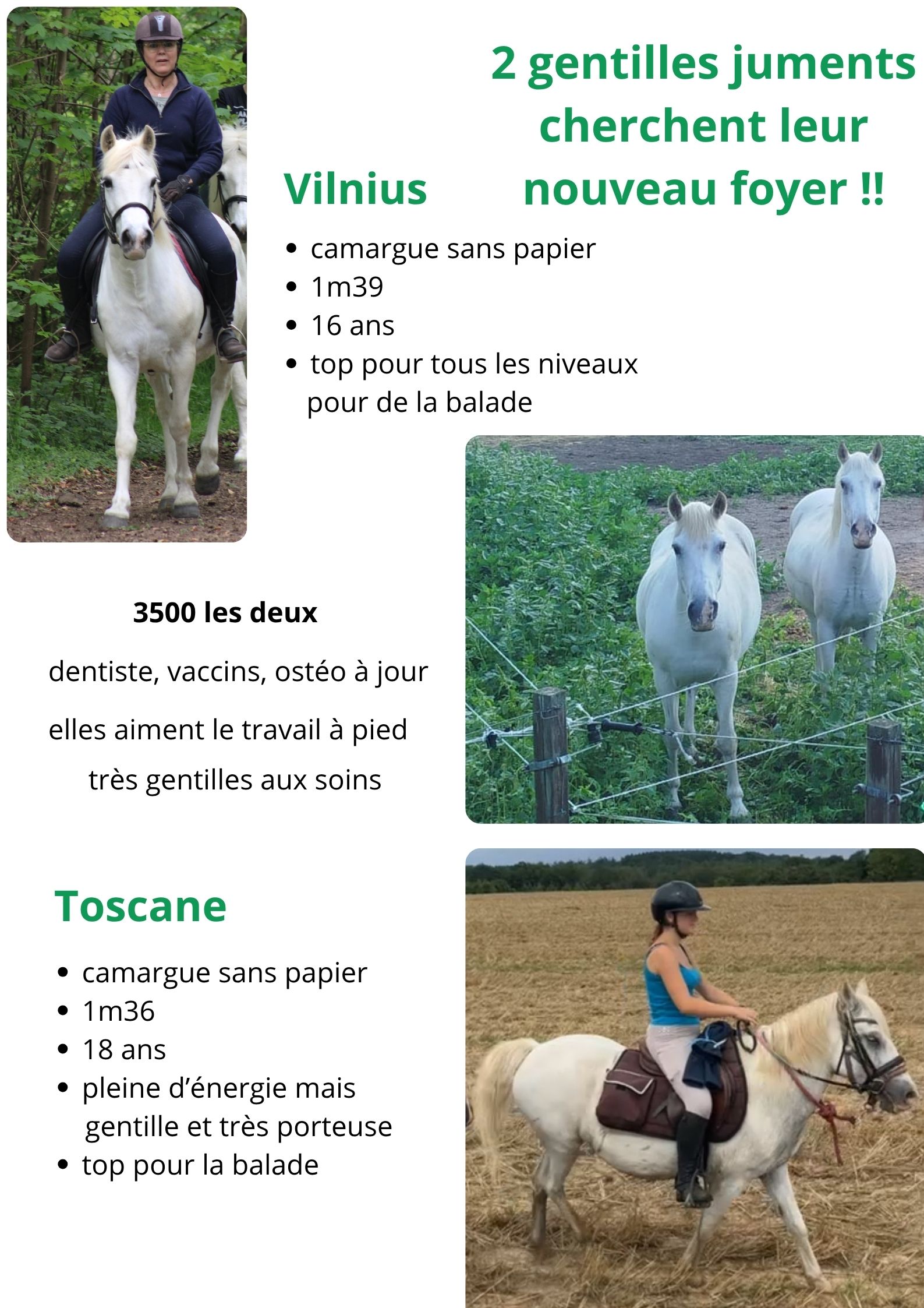 Vilnus Toscane